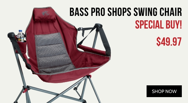 Bass Pro Shops Swing Chair