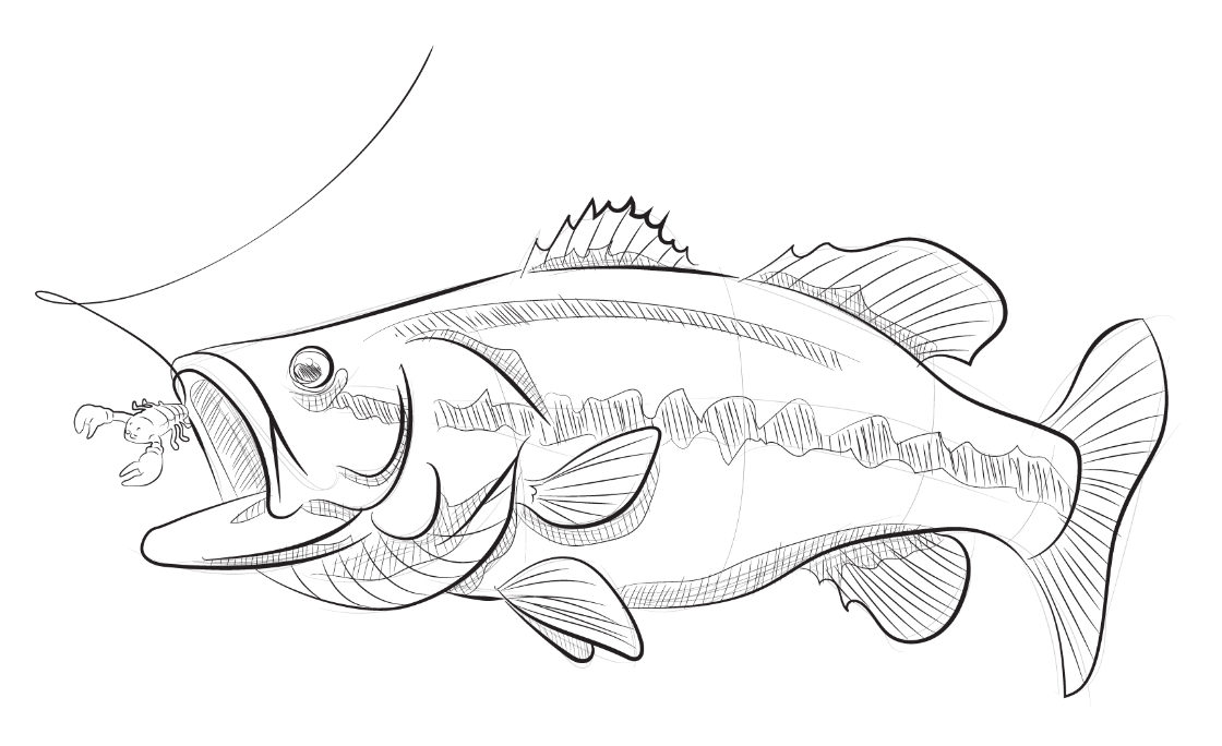 Berkley Fishing Company Logo Men's Black T-Shirt  