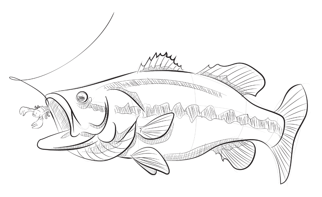 Terminal tackle elements for fishing bass Vector Image