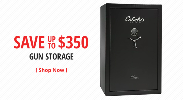 Save Big on Gun Storage - Shop Now