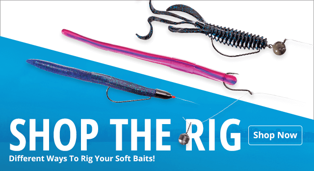 Bait for Fishing 14cm 17cm Segmented Ninja Worm Baits, Finesse Worms Soft  Plastic Worms, Bass Fishing Worms, Plastic Baits - (Color: 5pcs Color-12  Large) 