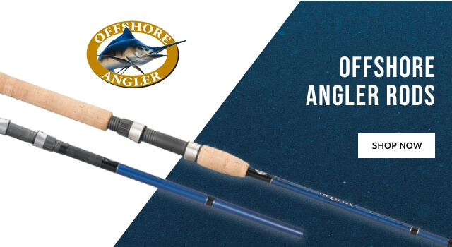 offshore fishing rods and reels 