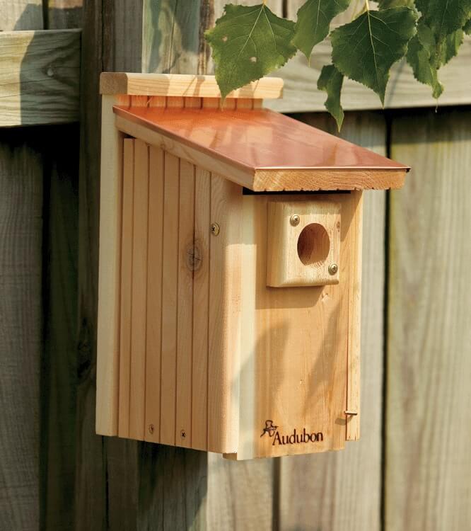 Cabelas Home Decor