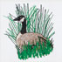 Goose