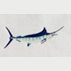 Marlin
