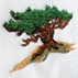 Pinion Tree