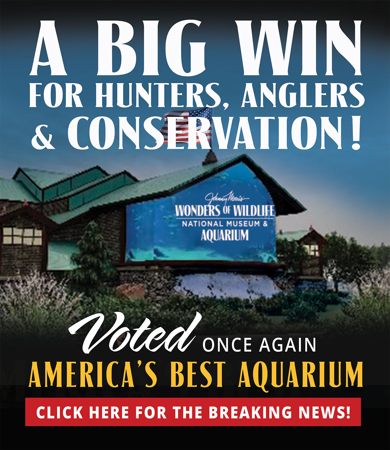 Wonders of Wildlife Voted America's Best Aquarium