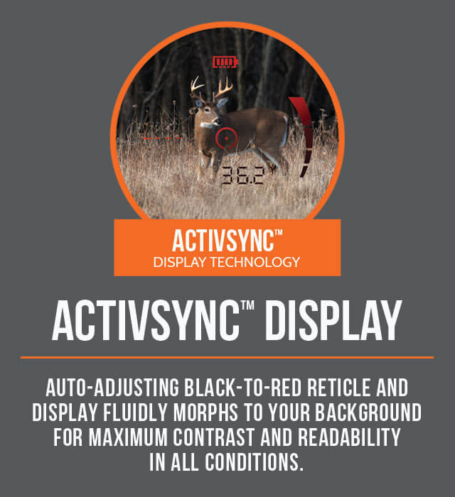 Activsync Display