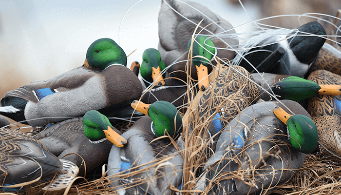 Cam-Activated Concealment - Wildfowl