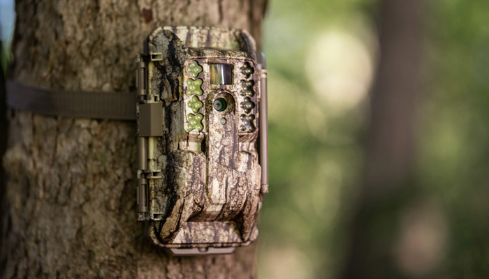 Moultrie Game Cameras & Game Feeders : Cabela's