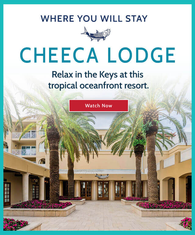 Cheeca Lodge